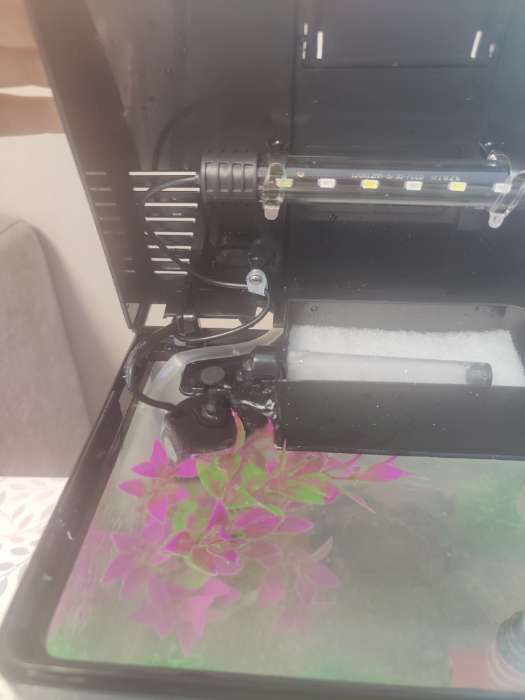 Фотография покупателя товара Аквариум SeaStar HX-240F в комплекте: LED-лампа, фильтр, 10 л, белый - Фото 3