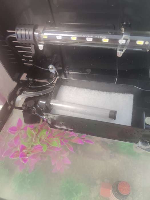 Фотография покупателя товара Аквариум SeaStar HX-240F в комплекте: LED-лампа, фильтр, 10 л, белый - Фото 2