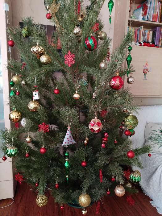 Фотография покупателя товара Ёлочные игрушки «Ассорти», новогодние, набор 42 шт., красный/зелёный - Фото 1