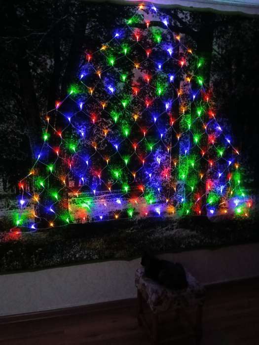 Фотография покупателя товара Гирлянда «Сеть-ёлка» 2×2 м, IP20, тёмная нить, 152 LED, свечение белое, 8 режимов, 220 В - Фото 2