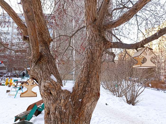 Фотография покупателя товара Деревянная кормушка-конструктор для птиц «Дерево» своими руками, 14.5 × 14.5 × 18 см, Greengo - Фото 7