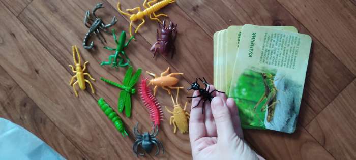 Фотография покупателя товара Набор животных с обучающими карточками «В мире насекомых», животные пластик, карточки, по методике Монтессори - Фото 1