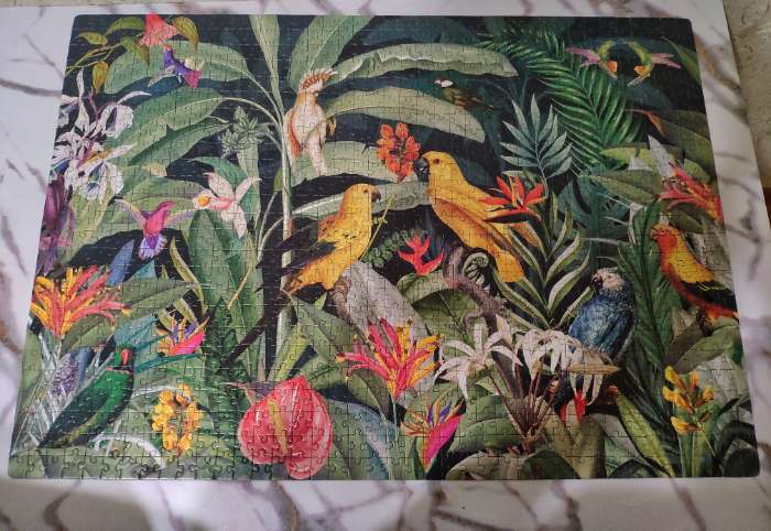 Фотография покупателя товара Пазл «Тропический сад», 1000 деталей - Фото 1