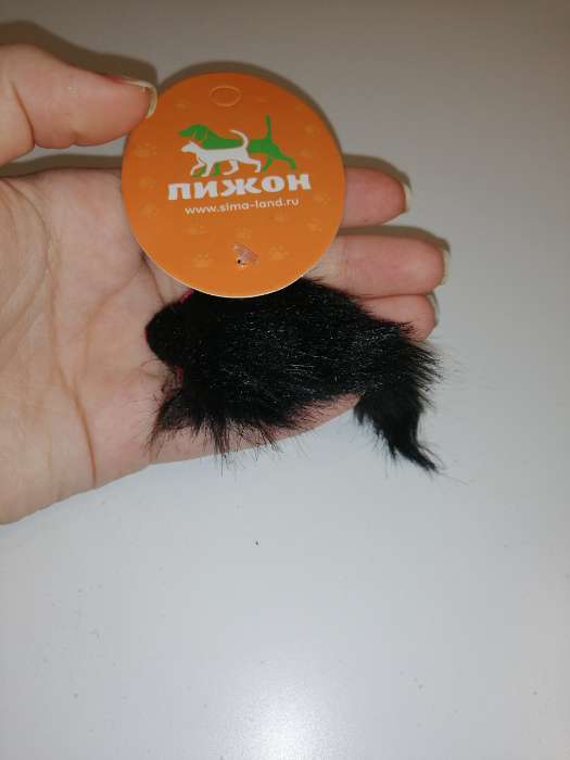 Фотография покупателя товара Игрушка для кошек "Мышь малая", 5 см, чёрная