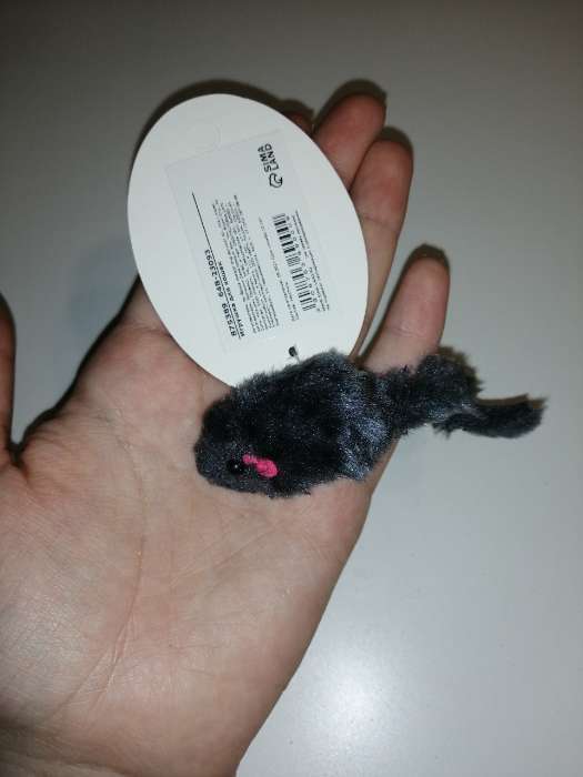 Фотография покупателя товара Игрушка для кошек "Мышь малая" цветная, 5 см, микс цветов