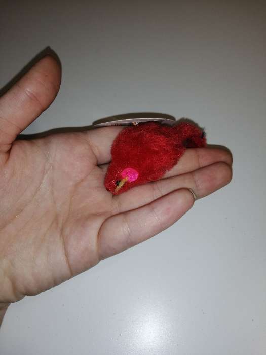 Фотография покупателя товара Игрушка для кошек "Мышь малая" цветная, 5 см, микс цветов