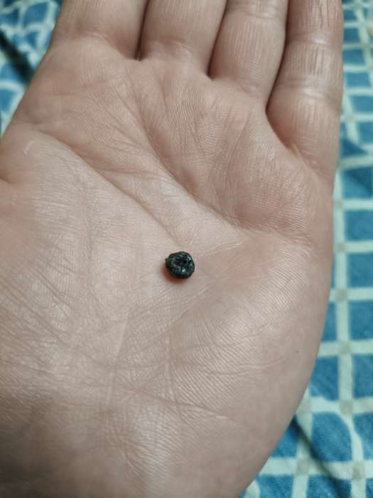 Фотография покупателя товара Бенгальские огни золотые «Экстра», 6 шт., 21 см, горение 35 сек. - Фото 67