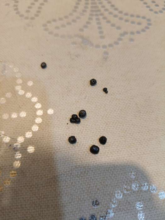 Фотография покупателя товара Бенгальские огни золотые «Экстра», 6 шт., 21 см, горение 35 сек. - Фото 66