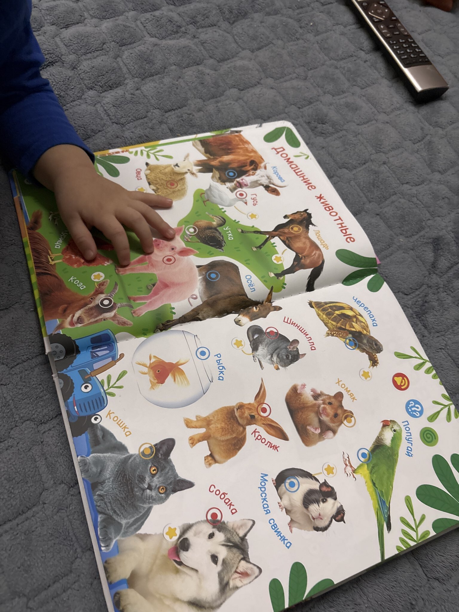 Фотография покупателя товара Говорящая книга «Мир вокруг малыша. Синий трактор», 26 стр. - Фото 1