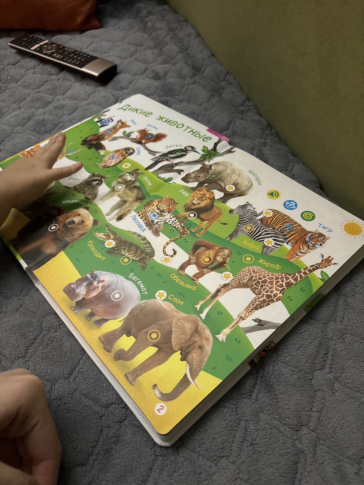 Фотография покупателя товара Говорящая книга «Мир вокруг малыша. Синий трактор», 26 стр. - Фото 3