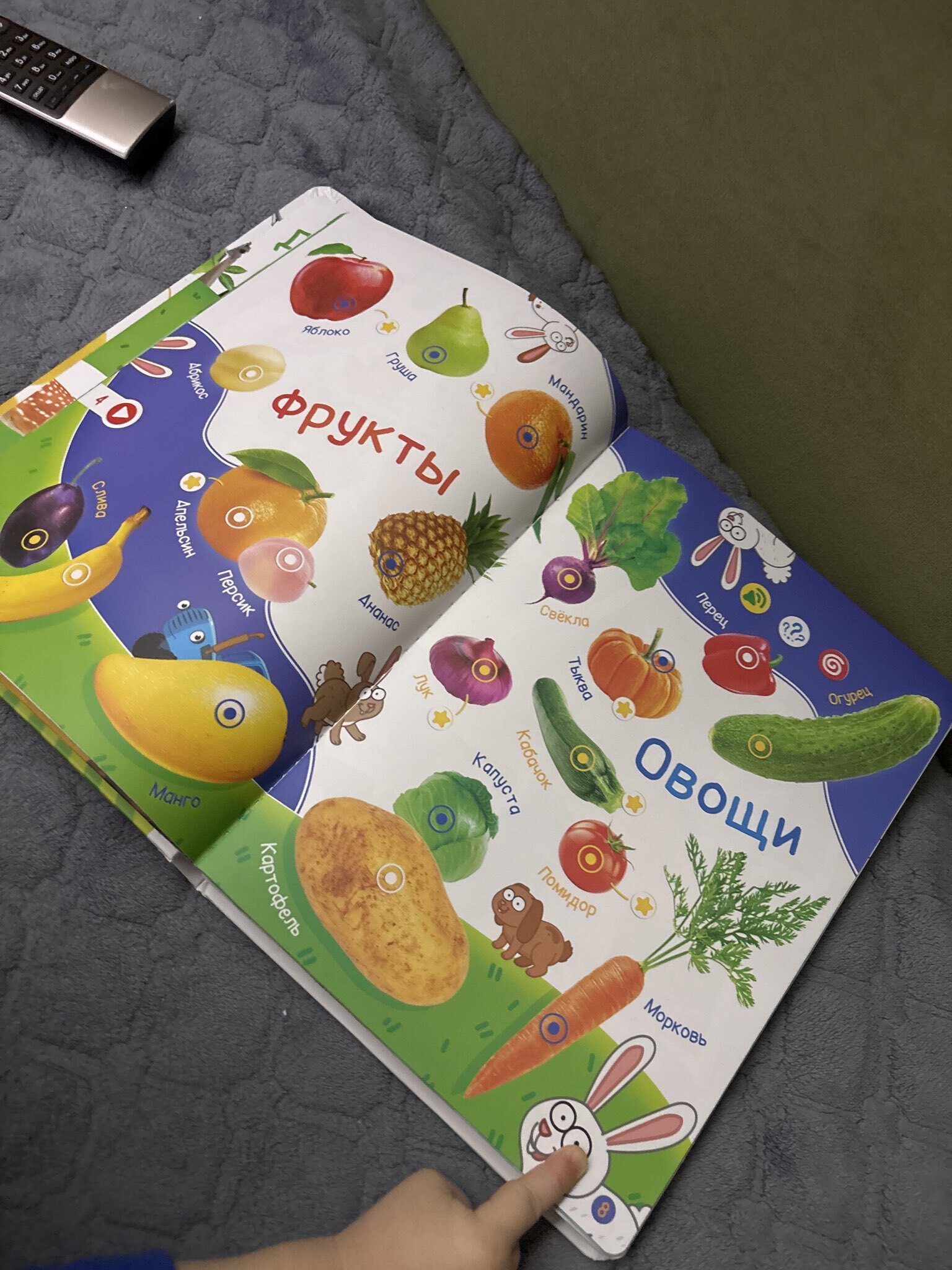 Фотография покупателя товара Говорящая книга «Мир вокруг малыша. Синий трактор», 26 стр. - Фото 5