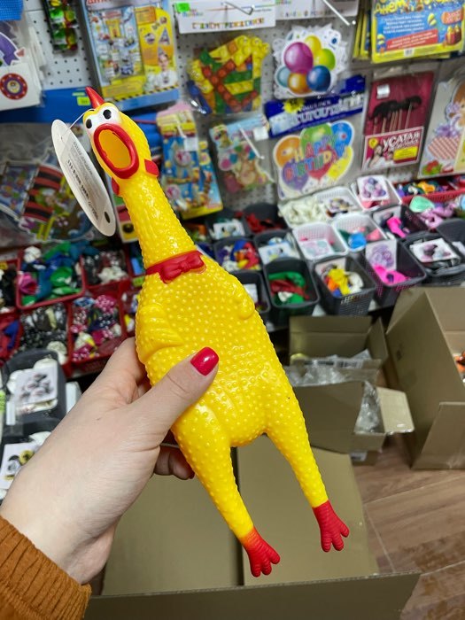 Фотография покупателя товара Игрушка пищащая "Задумчивая курица" для собак, 28 см, жёлтая - Фото 21