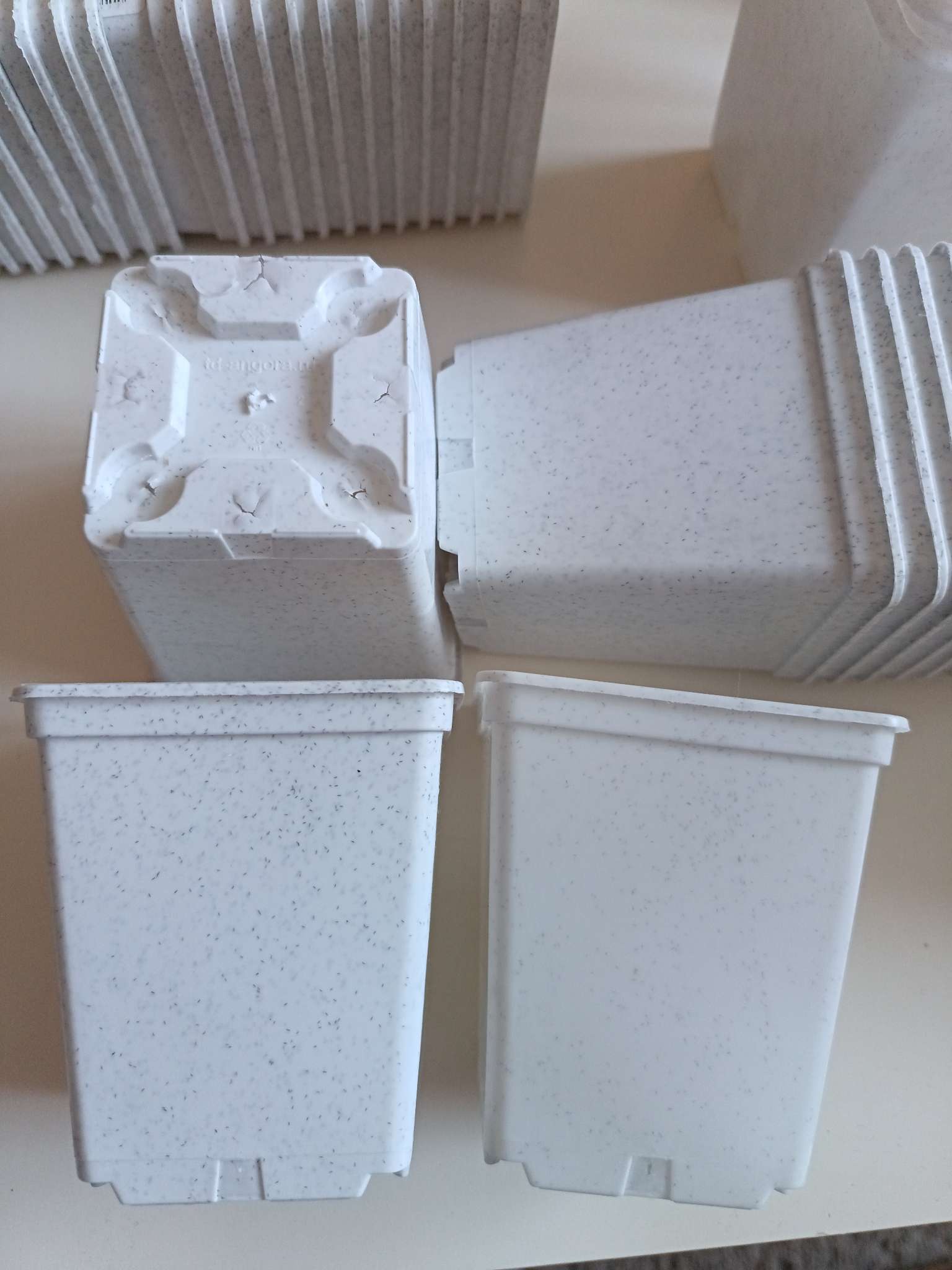 Фотография покупателя товара Горшок для рассады, 500 мл, 9×9×10 см, пластиковый, белый - Фото 1