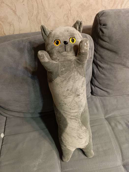 Фотография покупателя товара Мягкая игрушка без наполнителя «Кот», 70 см, цвет серый - Фото 2