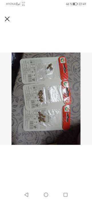 Фотография покупателя товара Семена Арбуз "Ультраранний", 10 шт - Фото 2