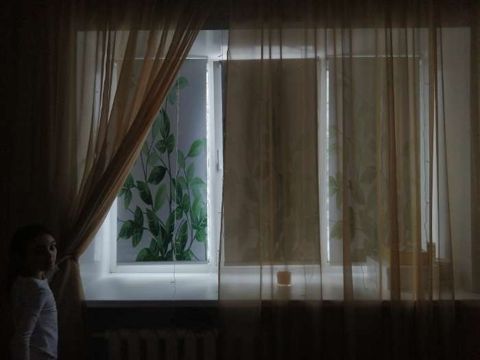 Фотография покупателя товара Штора рулонная «Ветви», блэкаут, 90×200 см, цвет белый - Фото 1