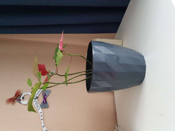 Фотография покупателя товара Горшок для цветов с прикорневым поливом Ruby, 3 л, цвет бордовый - Фото 3