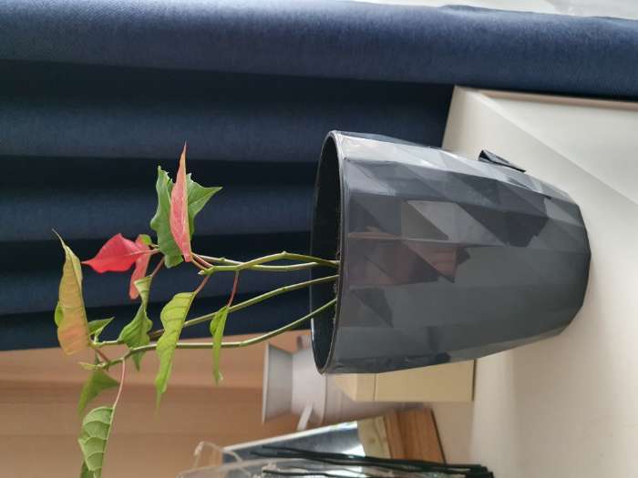Фотография покупателя товара Горшок для цветов с прикорневым поливом Ruby, 3 л, цвет антрацит
