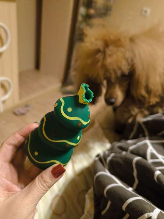 Фотография покупателя товара Игрушка для собак новогодняя «Ёлка», 11.5×5.5 см, пищащая, винил, зелёная - Фото 2