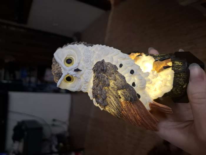 Фотография покупателя товара Садовый светильник «Полярная сова», уличный, на солнечной батарее, 45 см, 1 LED, свечение тёплое белое - Фото 4