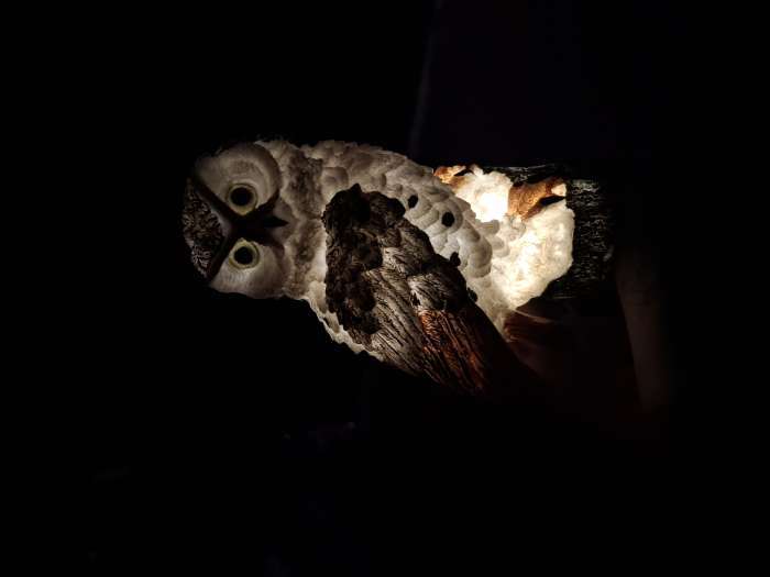 Фотография покупателя товара Садовый светильник «Полярная сова», уличный, на солнечной батарее, 45 см, 1 LED, свечение тёплое белое - Фото 3