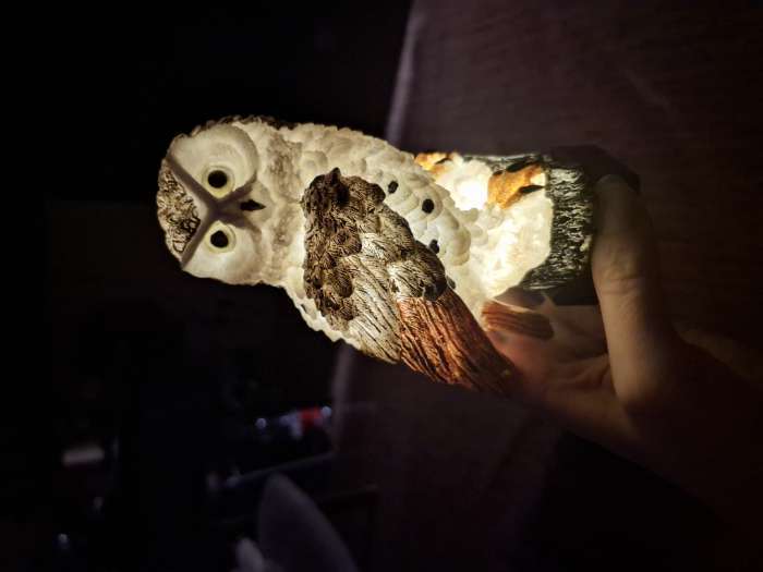 Фотография покупателя товара Садовый светильник «Полярная сова», уличный, на солнечной батарее, 45 см, 1 LED, свечение тёплое белое - Фото 2