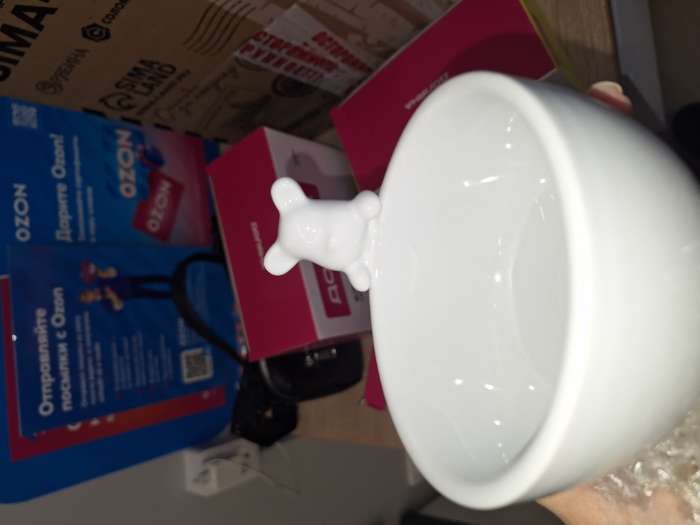 Фотография покупателя товара Салатники Доляна «Мишка Отто», 270 мл, 13×10.2 см, набор 2 шт., белые - Фото 2