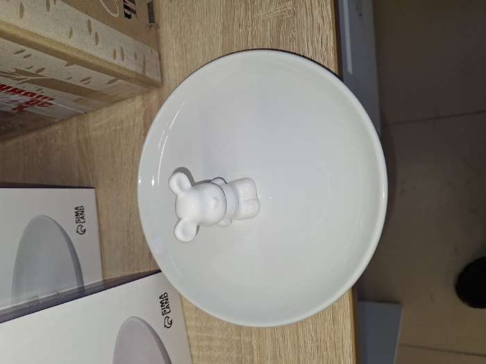 Фотография покупателя товара Тарелка Доляна «Мишка Отто», 20.5×9 см, белое - Фото 1