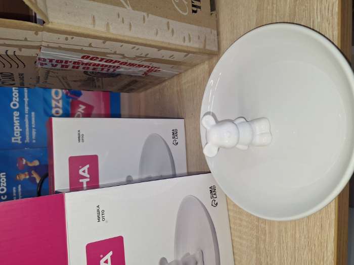 Фотография покупателя товара Тарелка Доляна «Мишка Отто», 20.5×9 см, белое - Фото 2