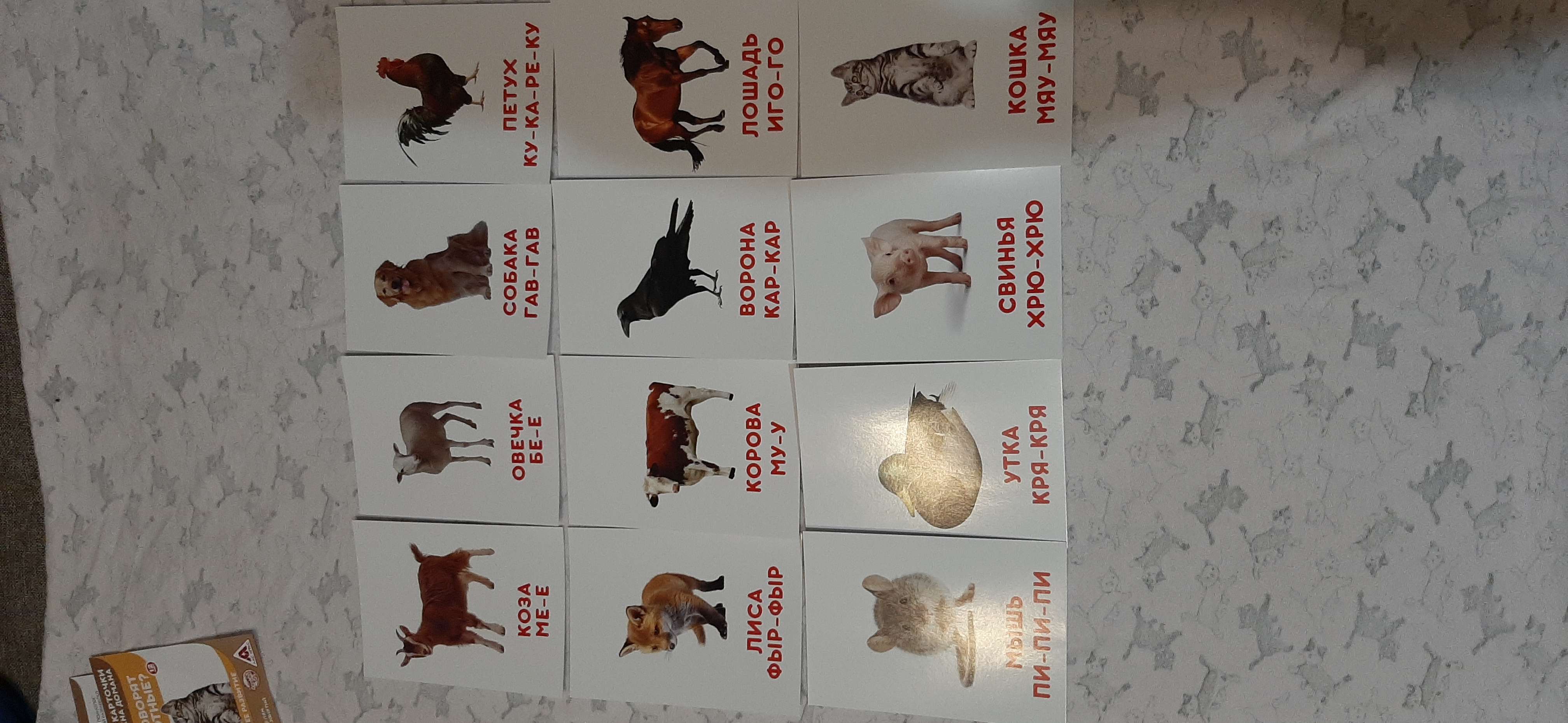 Фотография покупателя товара Обучающие карточки по методике Г. Домана «Что говорят животные?» - Фото 2