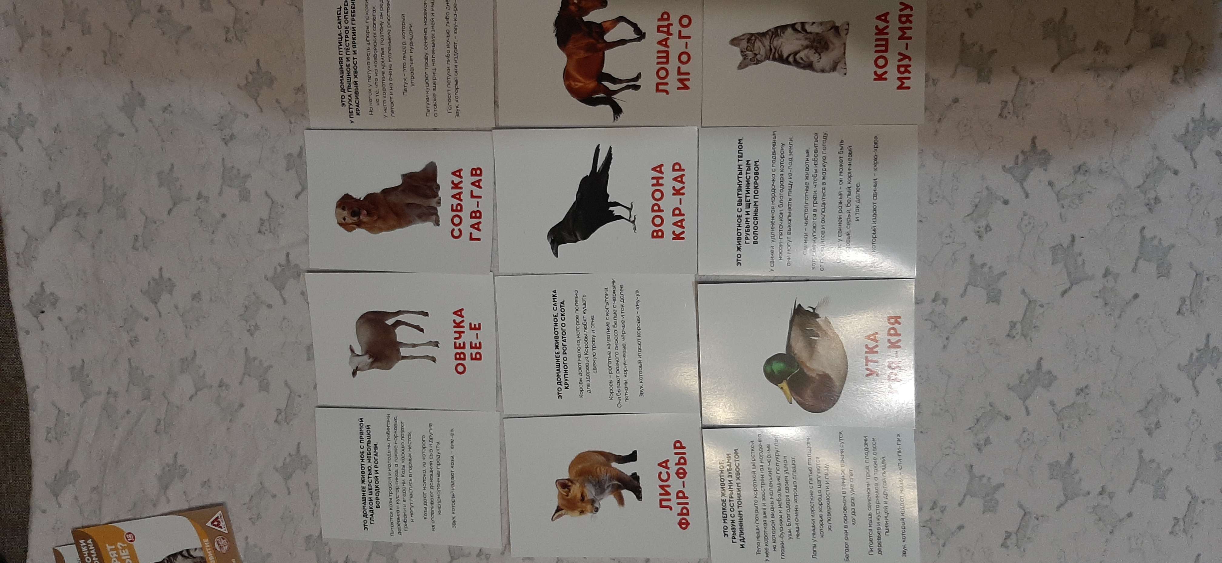 Фотография покупателя товара Обучающие карточки по методике Г. Домана «Что говорят животные?» - Фото 1