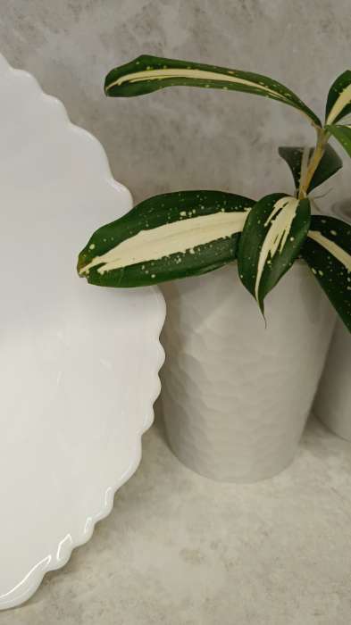 Фотография покупателя товара Стакан для зубных щёток Tule, 350 мл, d=7.7 см, h=10.4 см, светло-серый - Фото 2