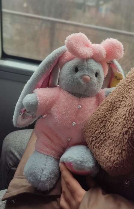 Фотография покупателя товара Мягкая игрушка зайка «Li с крыльями» - Фото 3