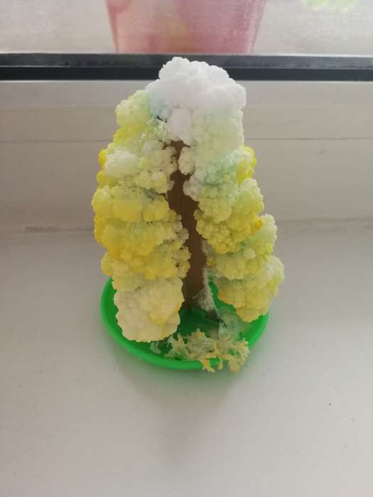 Фотография покупателя товара Набор для выращивания кристалла «Волшебное дерево» цвет белый - Фото 36