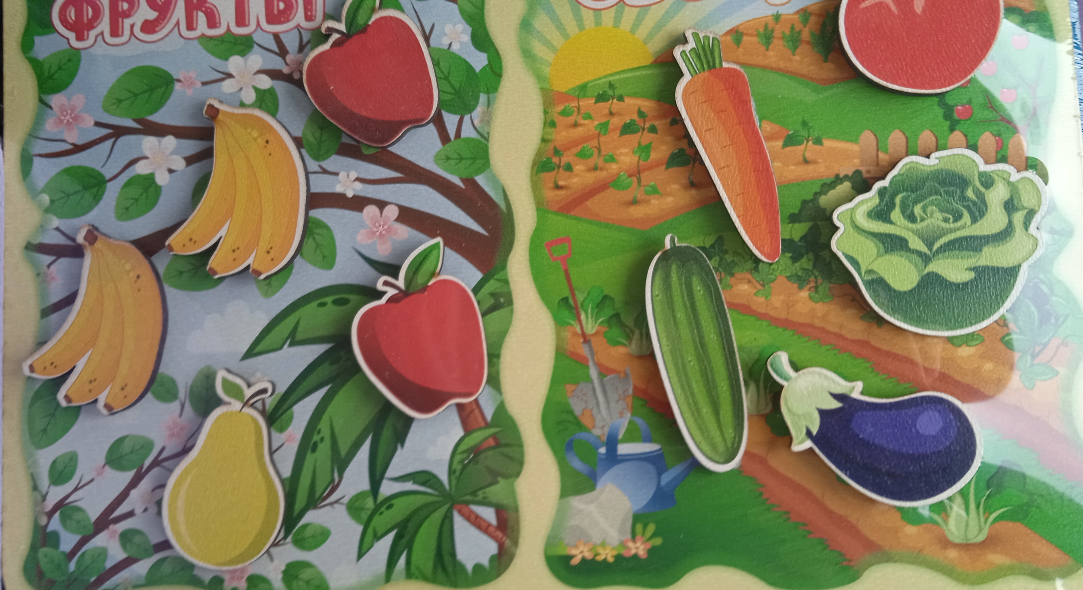 Фотография покупателя товара Сортер «Какая разница? Фрукты-овощи», на липучках - Фото 10