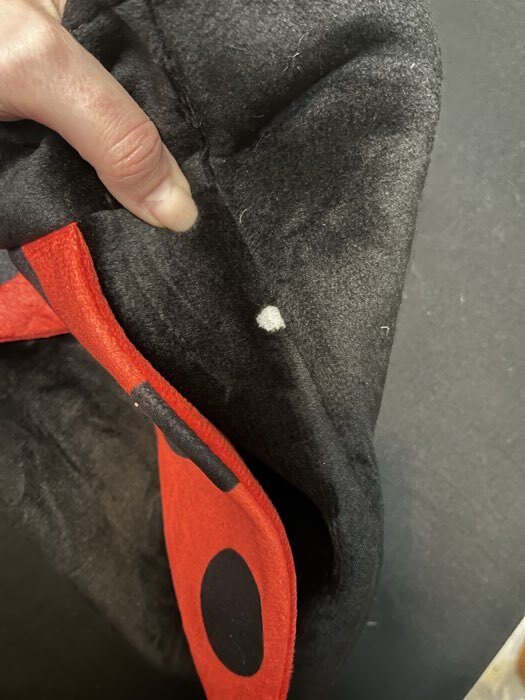 Фотография покупателя товара Рюкзак детский «Божья коровка», 35×30 см - Фото 1