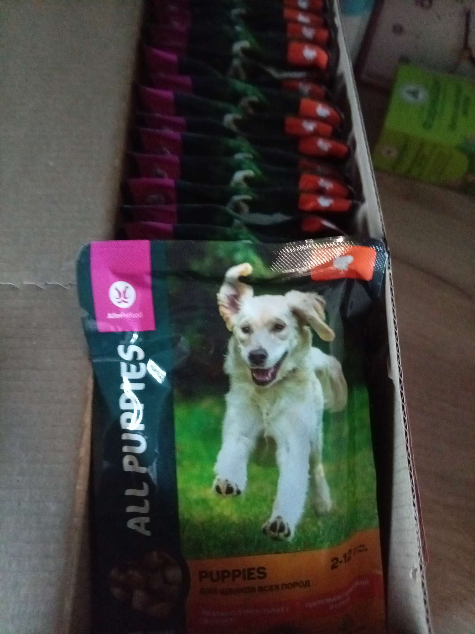 Фотография покупателя товара Влажный корм ALL PUPPIES для щенков, тефтельки с индейкой в соусе, пауч, 85 г - Фото 2