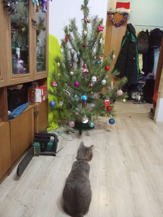 Фотография покупателя товара Подставка для ёлки Martika «Невио», пластик, d=34.9 см, h=13.5 см, зелёный/красный - Фото 2