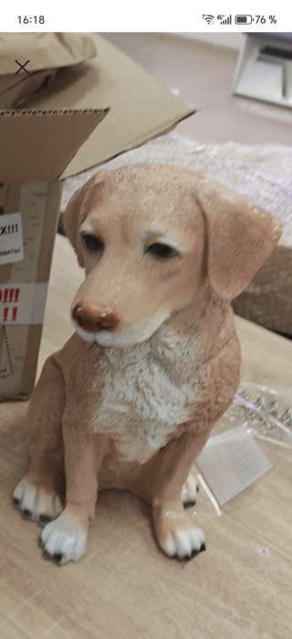 Фотография покупателя товара Копилка для денег «Собака лабрадор», полистоун, 35×20×28 см - Фото 16