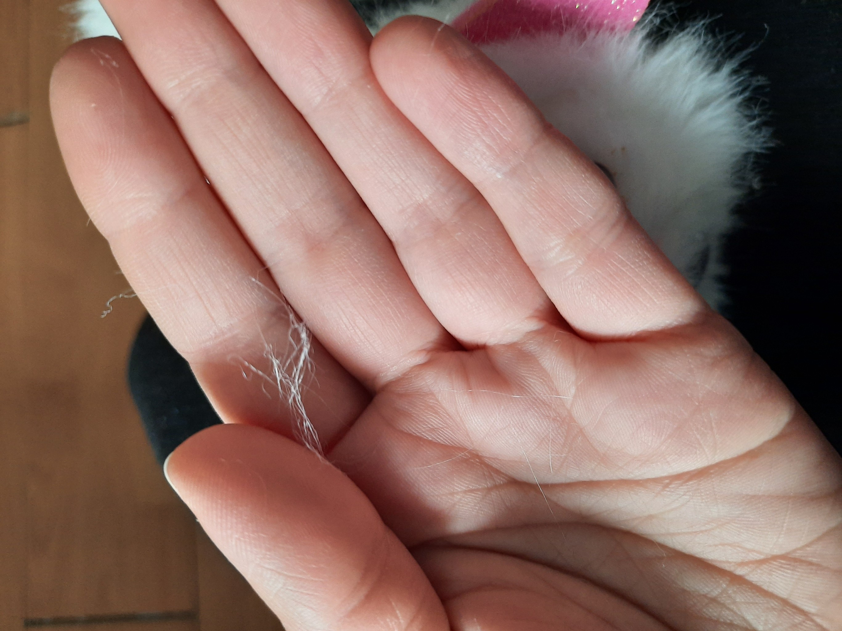 Фотография покупателя товара Игрушка интерактивная «Мой котёнок» браслет, расчёска, свет, звук, МИКС