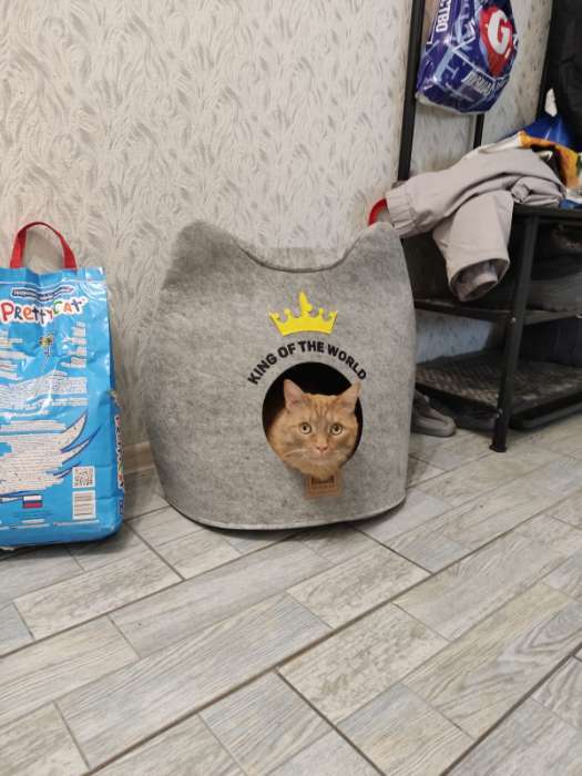 Фотография покупателя товара Домик для животных из войлока "Ушастик королевский", 46 х 46 х 43 см