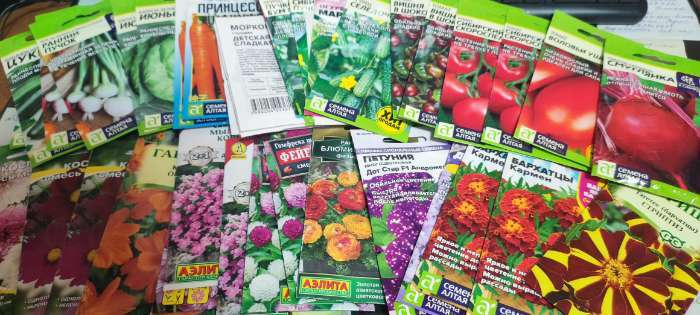 Фотография покупателя товара Семена Томат "Сибирский Скороспелый", цп,детерминантный,низкорослый, 0,1 г. - Фото 1