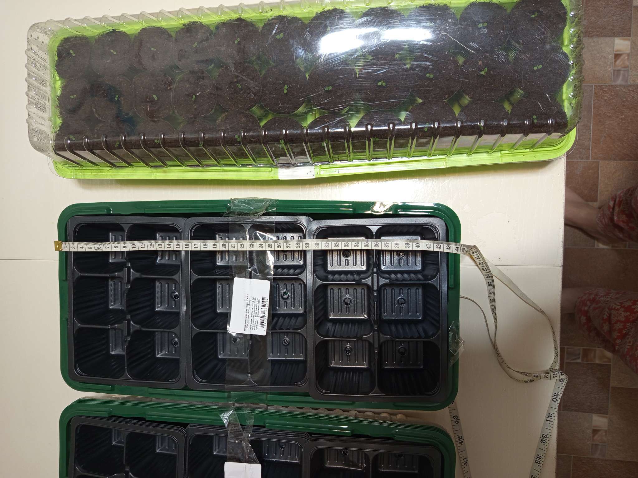 Фотография покупателя товара Мини - парник для рассады, 57×18×12 см, 3 вставки, 18 ячеек по 125 мл, пластик, Greengo - Фото 6