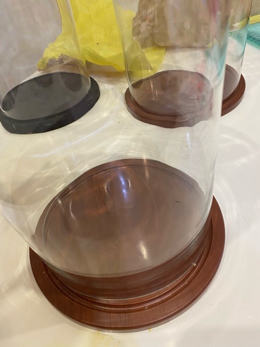 Фотография покупателя товара Стеклянный купол-клош с шариком на  подставке "Родрик", 29х15 см, стекло, коричневый - Фото 2