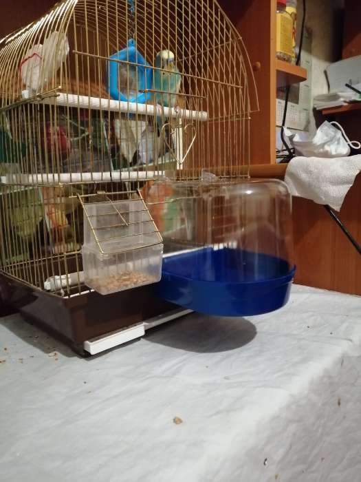Фотография покупателя товара Купалка для птиц, 145 х 136 х 140, синий перламутр - Фото 3