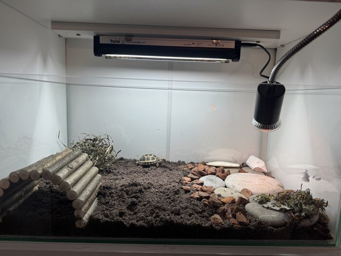 Фотография покупателя товара Террариум без крышки, 45 л, 55×33 см - Фото 1