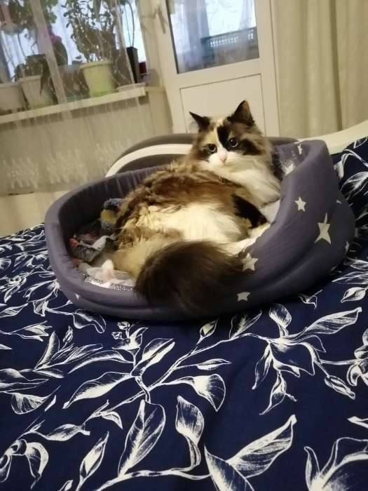 Фотография покупателя товара Покрывало евро «Этель» Magnolia, 200×215 см, 100% хлопок - Фото 1