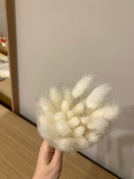 Фотография покупателя товара Сухоцветы «Лагурус», набор 30 шт., цвет белый