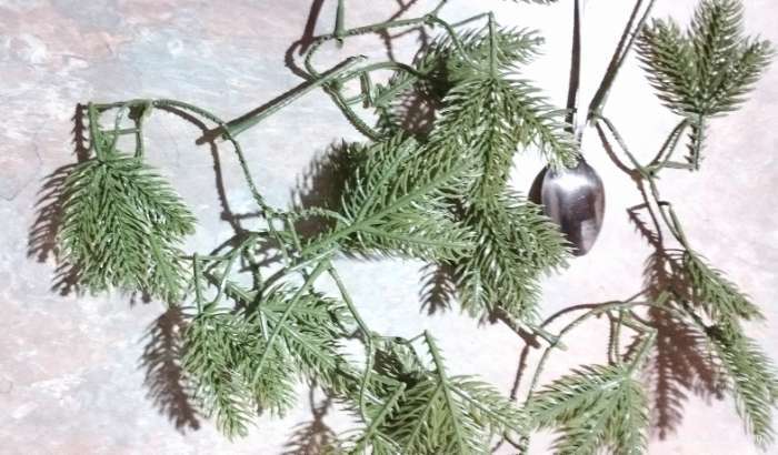 Фотография покупателя товара Ветка декоративная новогодняя, набор 10 шт., размер 1 шт. — 8×8×2 см - Фото 55