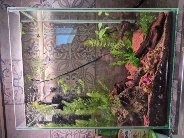 Фотография покупателя товара Аквариум Прямоугольный «Колонна Ширма» 25 л, 34×17×45 см, чёрный - Фото 2